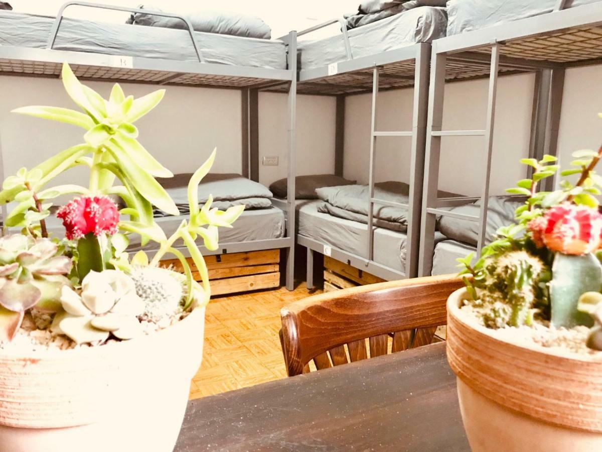 Al Yakhour Hostel Haifa Kültér fotó